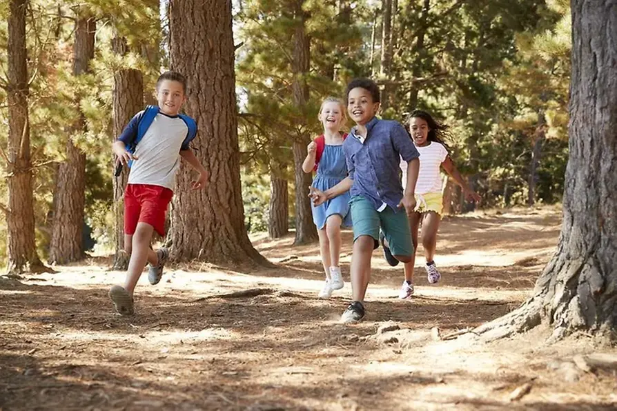 Barn som springer i skogen.