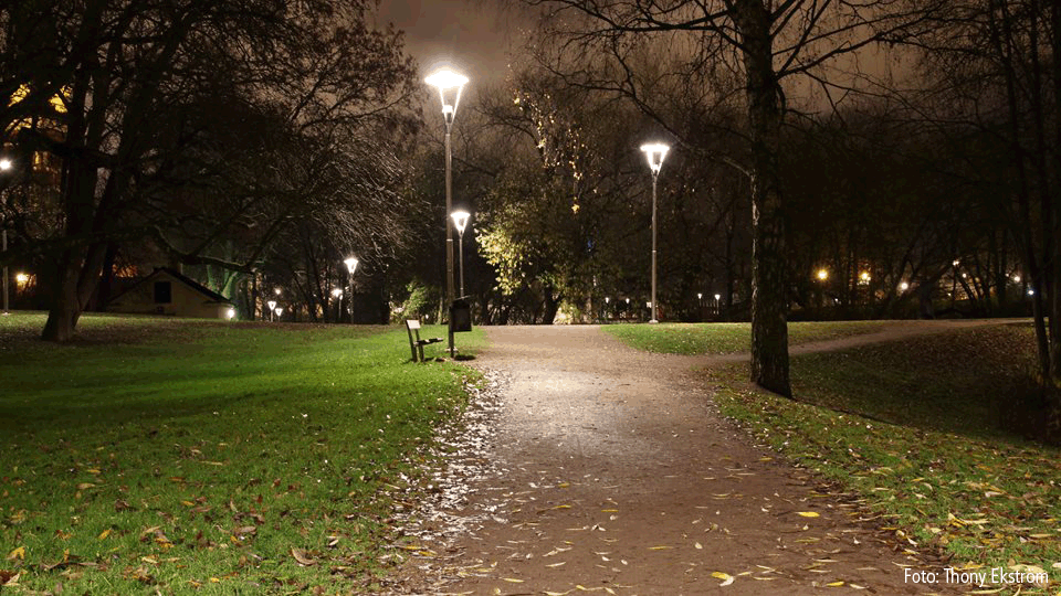 Kvällsvy med gångväg genom Vasaparken med tända lyktstolpar