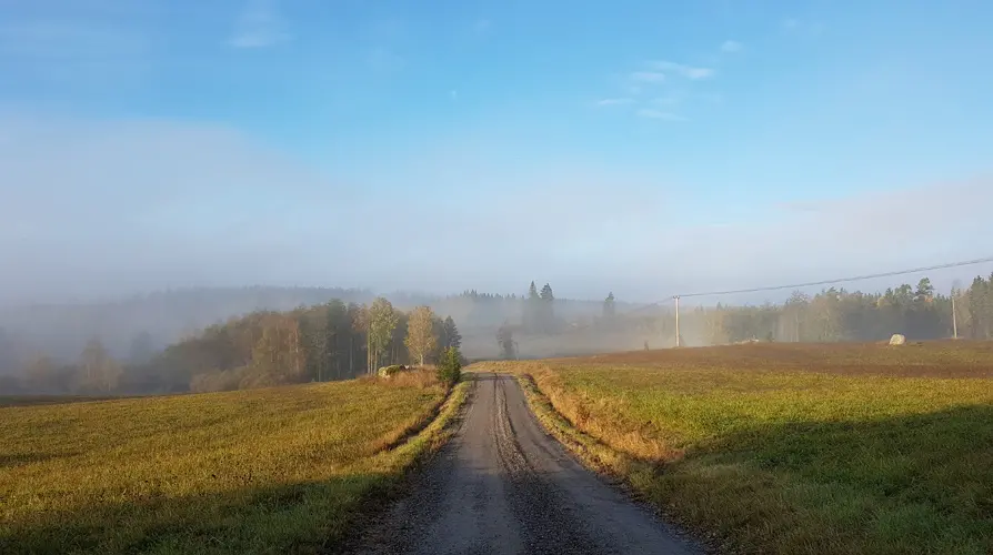 Grusväg som går genom landskapet. Foto: Susanne Löfvander