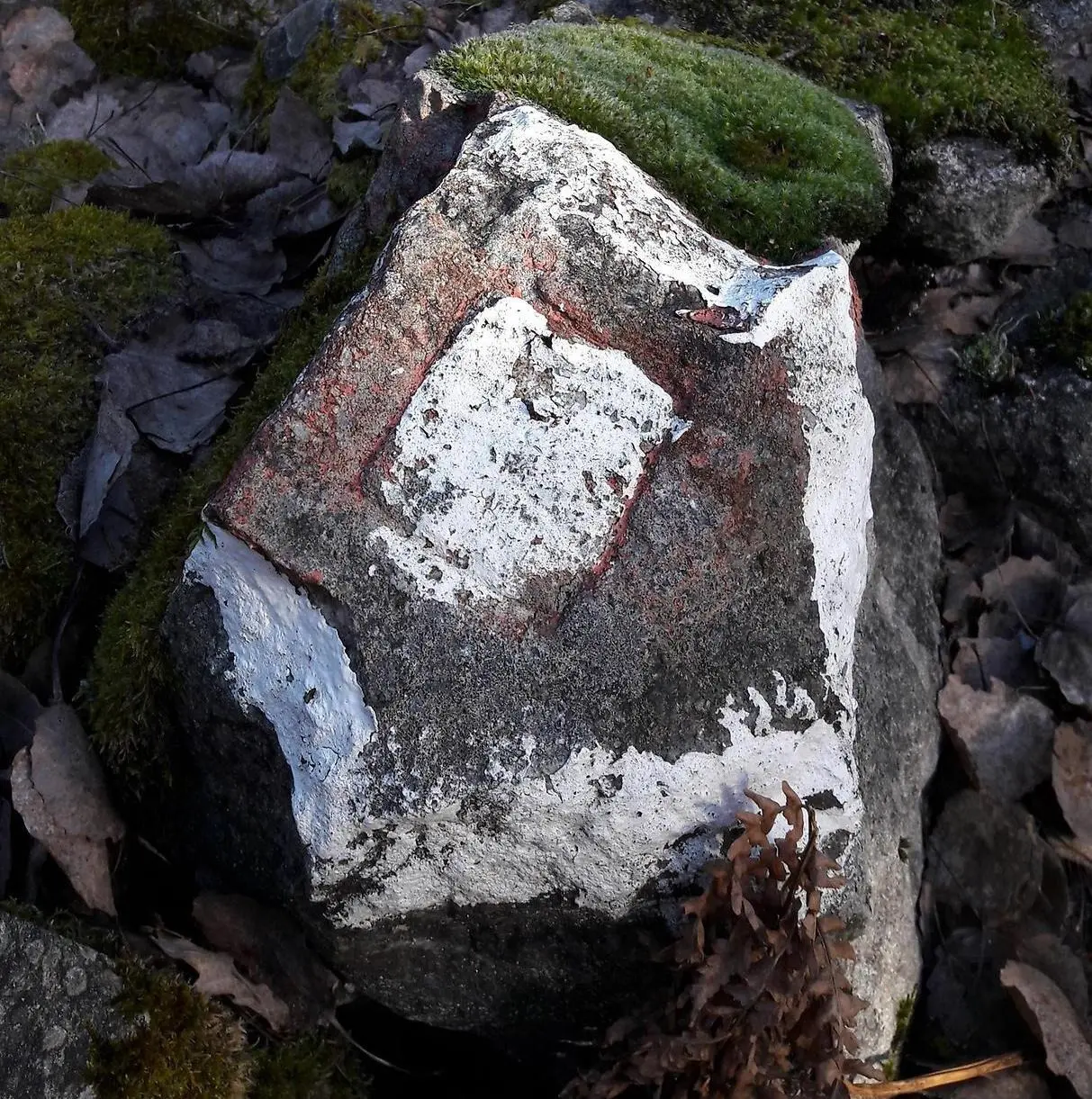 En sten med en markering på, så kallad råsten