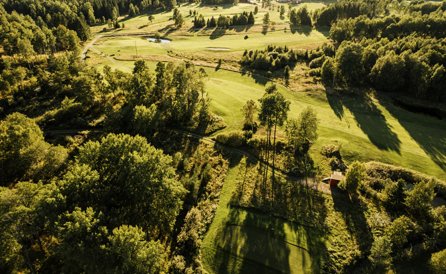 Flygbild över skog och gräspartier. Foto: Henrik Mill