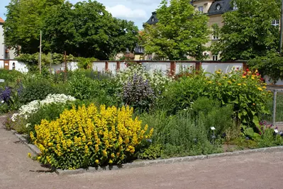 Botaniska trädgården i blom.